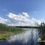 Canalul Miazazi din Delta Dunarii