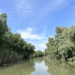 canalul Sontea Noua Delta Dunarii