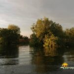 Peisaj Delta Dunarii in luna mai
