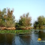 Delta Dunarii in septembrie