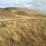 Rezervatia naturala Muchiile Cernei-Iaila
