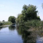 Canal Pardina