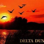 Carte postala veche delta dunarii