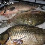 Saramura de caras pe pat de sare