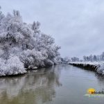 Iarna in Delta Dunarii
