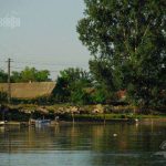 localitatea Gorgova - Delta Dunarii, judetul Tulcea