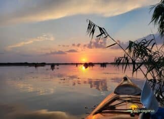 Alex Margineanu – fotografii din Delta Dunării Apus superb pe Lacul Lungul